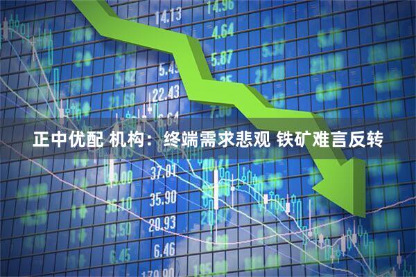 正中优配 机构：终端需求悲观 铁矿难言反转