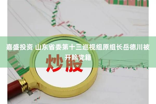 嘉盛投资 山东省委第十三巡视组原组长岳德川被开除党籍
