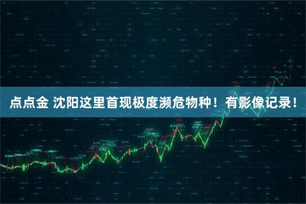 点点金 沈阳这里首现极度濒危物种！有影像记录！