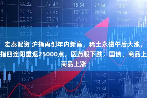 宏泰配资 沪指再创年内新高，稀土永磁午后大涨，恒指四连阳重返25000点，医药股下跌，国债、商品上涨
