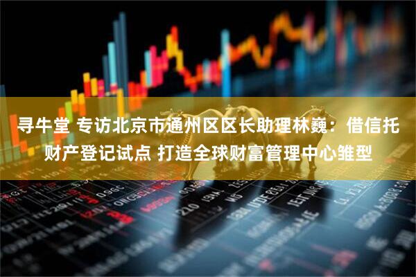 寻牛堂 专访北京市通州区区长助理林巍：借信托财产登记试点 打造全球财富管理中心雏型