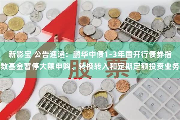 新影宝 公告速递：鹏华中债1-3年国开行债券指数基金暂停大额申购、转换转入和定期定额投资业务