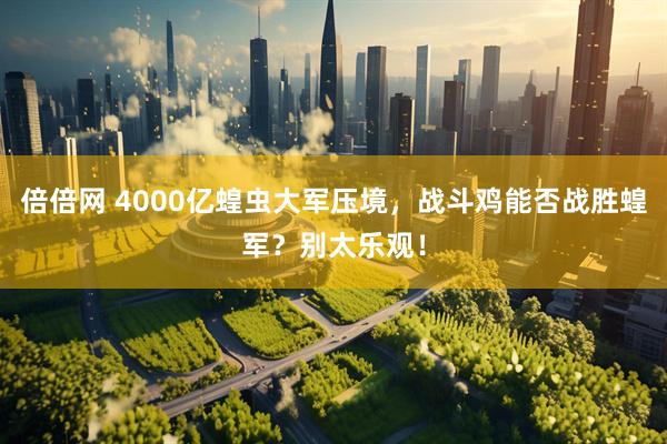倍倍网 4000亿蝗虫大军压境，战斗鸡能否战胜蝗军？别太乐观！