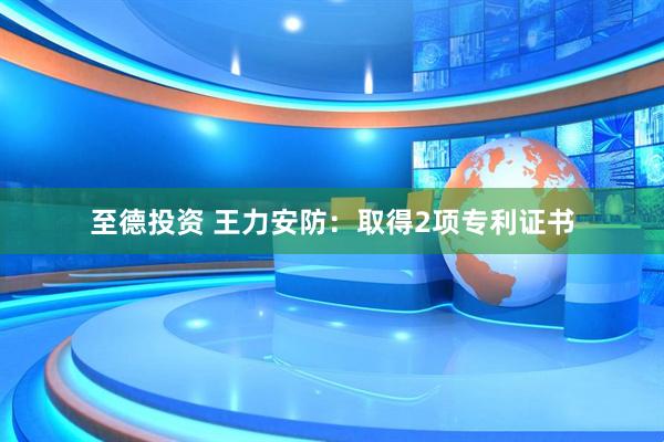 至德投资 王力安防：取得2项专利证书